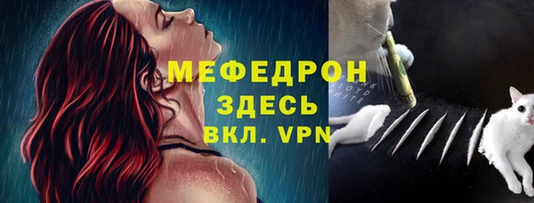 прущие грибы Вяземский