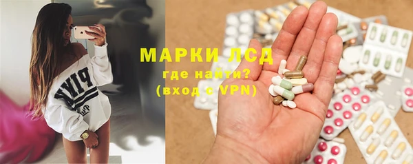 прущие грибы Вяземский
