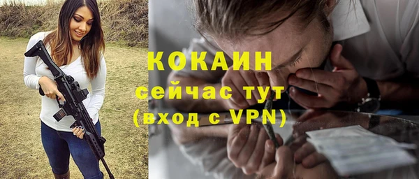 индика Армянск